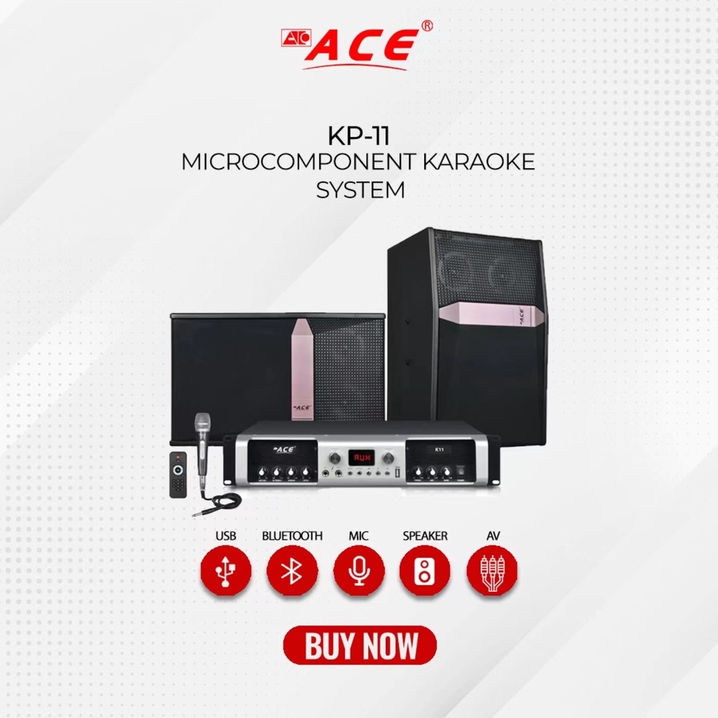 ACE KP11 Micro Component Karaoke System Set Lazada PH