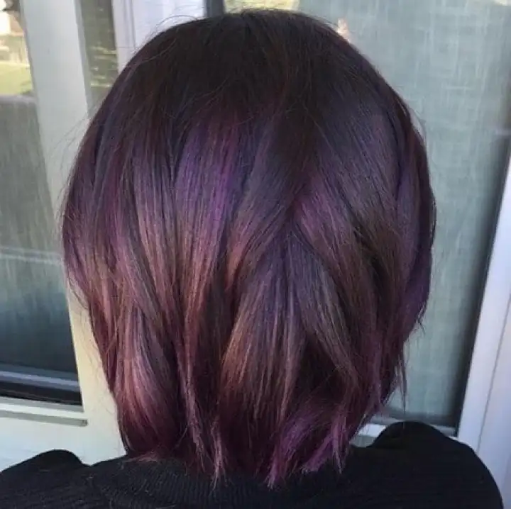 Midnight Rose Dark Purple Dark Violet Hair Color With Oxidizing 6 66 Damson Fashion Hair Color Permanent Hair Color Set Lazada Ph