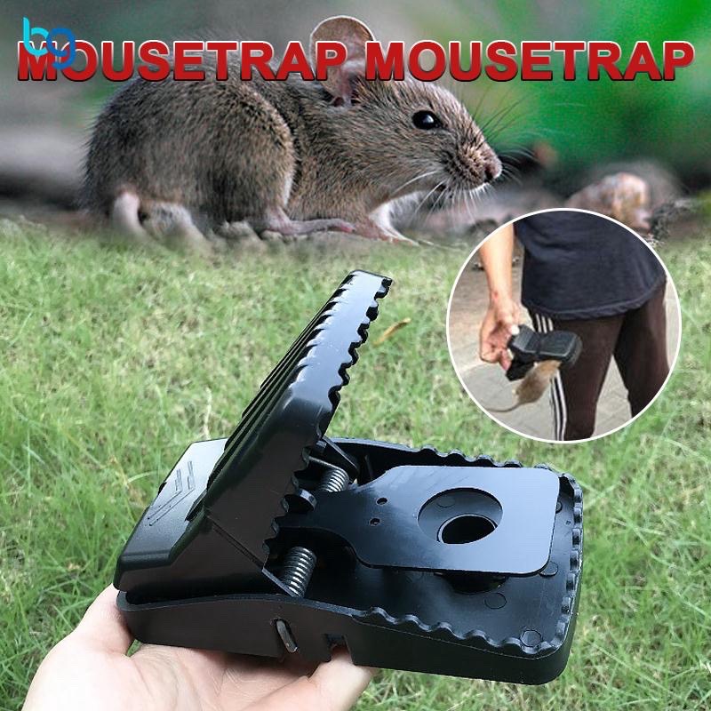 where can you buy a mousetrap