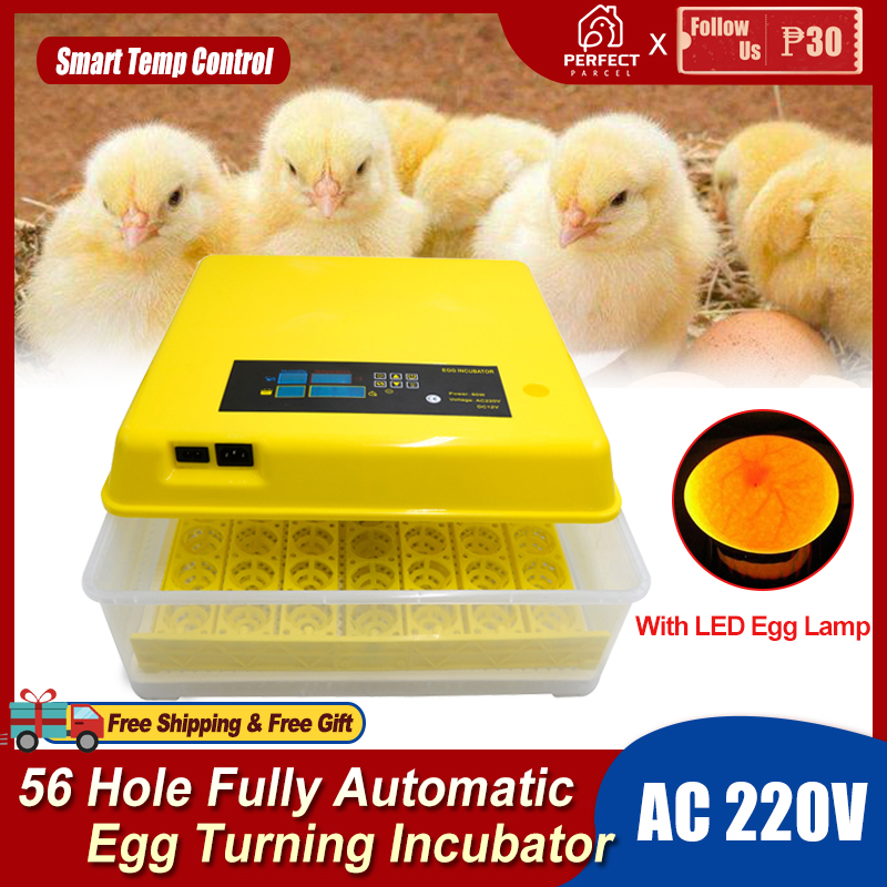 2022 The cheapest 56 egg incubator automatic with hatcher，Fully