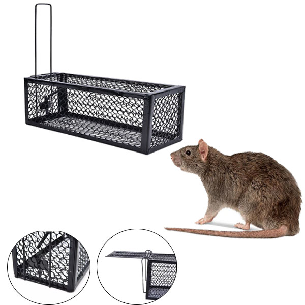 24cm Metal Mouse Trap Cage | Lazada PH