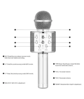 handheld microphone with speaker