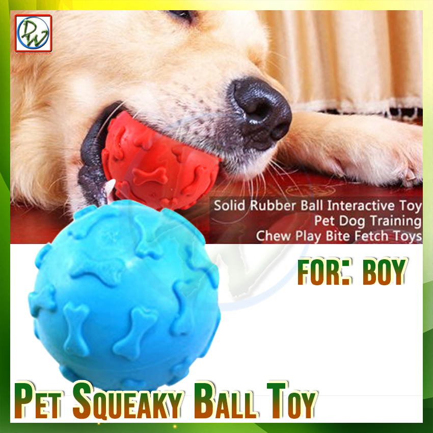Why Do Dogs Like Squeaky Balls