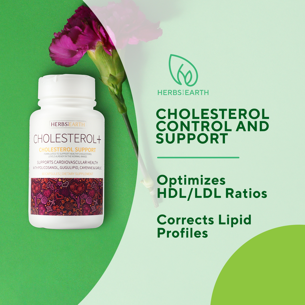 Cholesterol Control & Support Supplement With Policosanol Guggul Plant