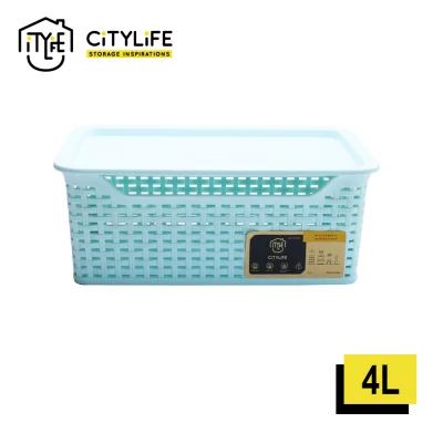 CityLife 4L Weave Basket with Lid L-7139