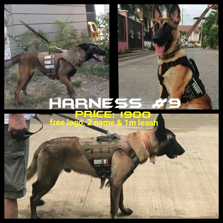 belgian malinois tactical vest