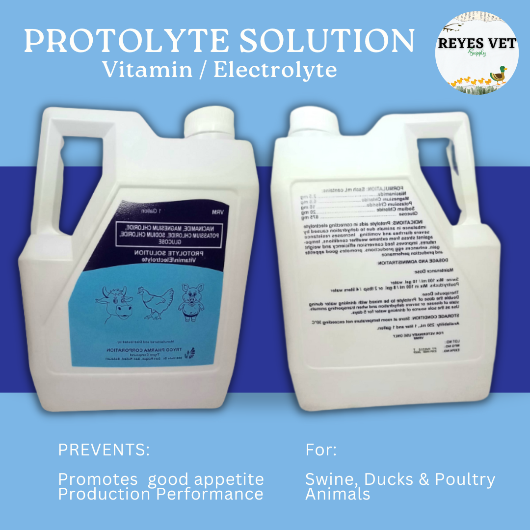 [VET SUPPORT] PROTOLYTE SOLUTION SYRUP ( 1 Gal & 1 Liter ) / VITAMIN ...