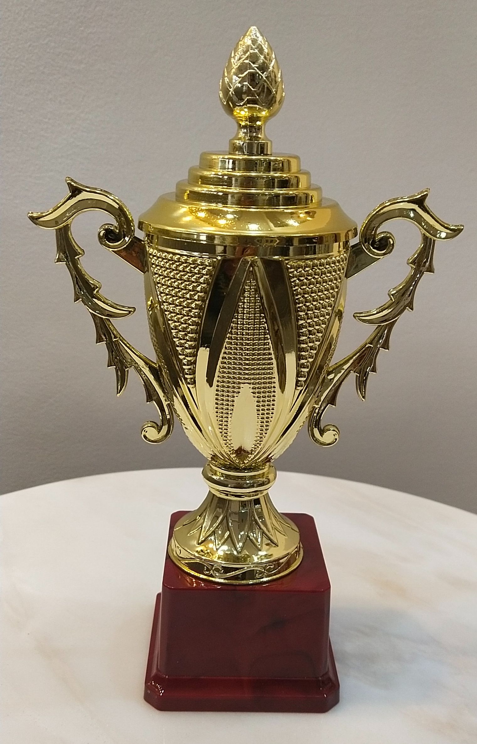 AWARD TROPHY H11-018-80 | Lazada PH