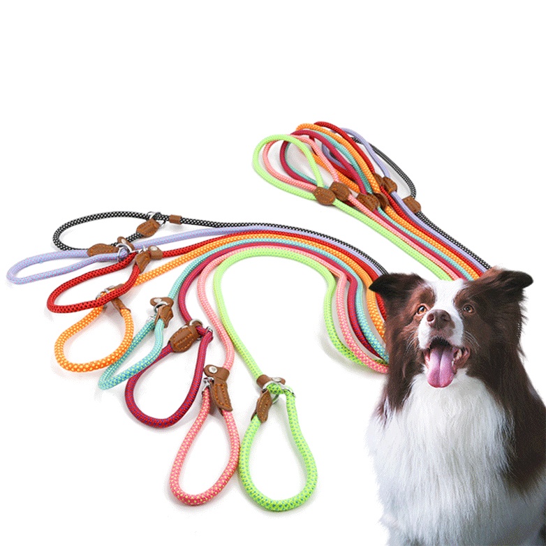 Are Slip Leads Good For Dogs That Pull