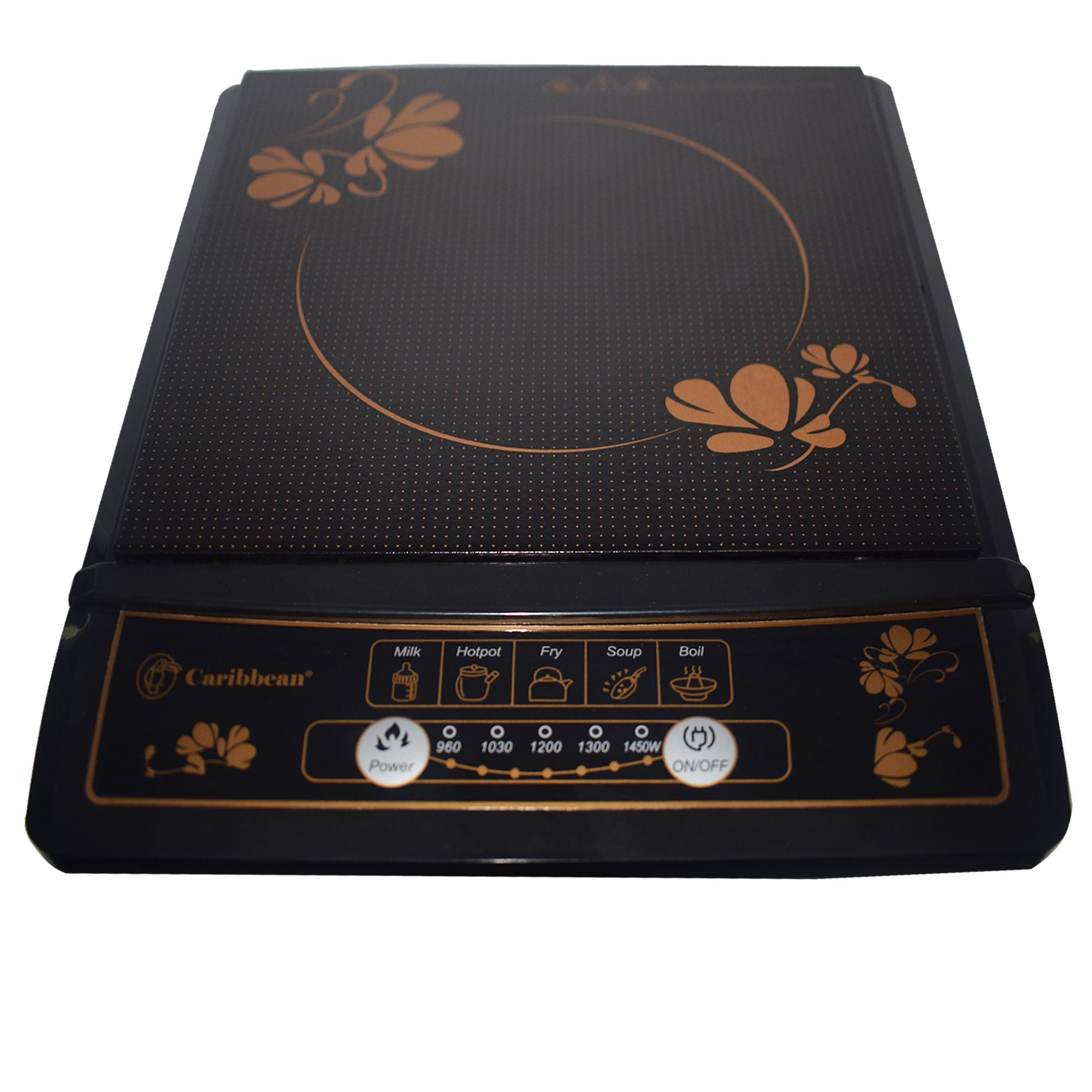 Caribbean induction store cooker