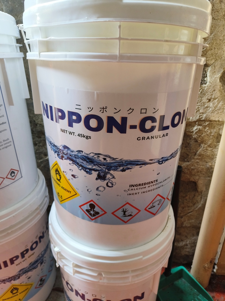 Nippon Chlon Chlorine Chlorine Japan Made Lazada Ph