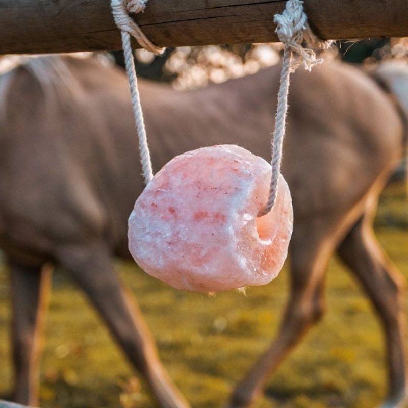 2kg Animal Himalayan Lick Salt Licking Salt Block Mineral Salt for Goat