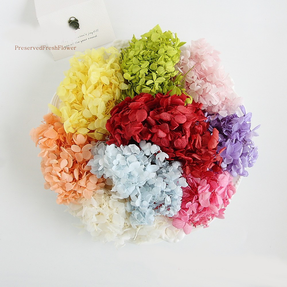 Dried Hydragea mini bouquet for resins/ crafts DRIED FLOWER BAZAAR