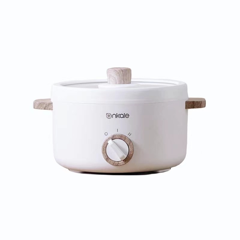 Multicooker Electric Multi Function Rice Cooker Ramen HotPot Portable Steamer All In One Janpan