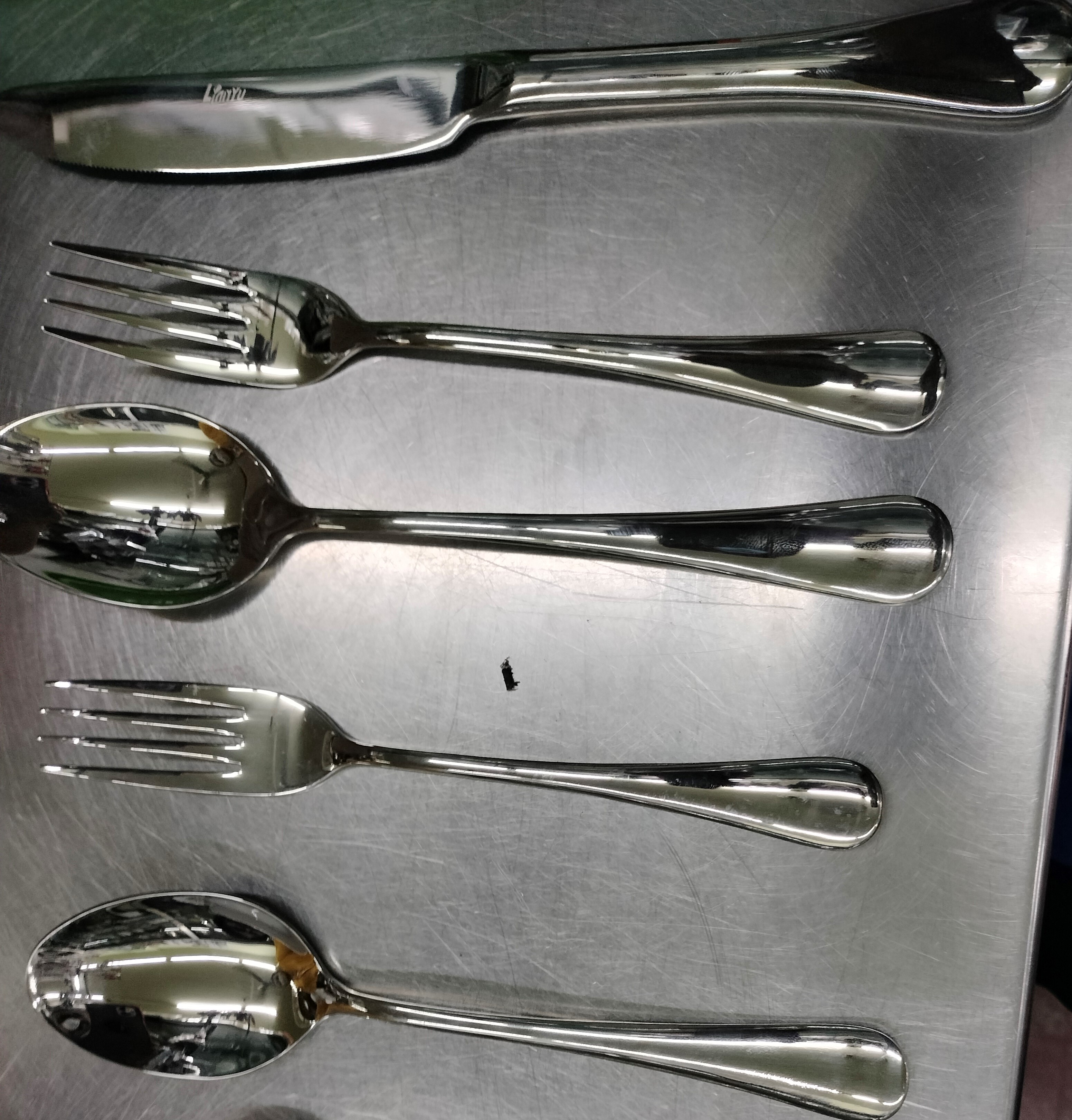 Flatware Cutlery Set, Stainless Steel Utensils Service For 4, Include ...