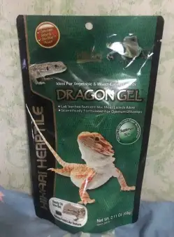 cheap reptiles for sale online