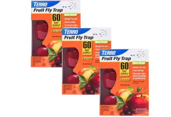 buy fly trap