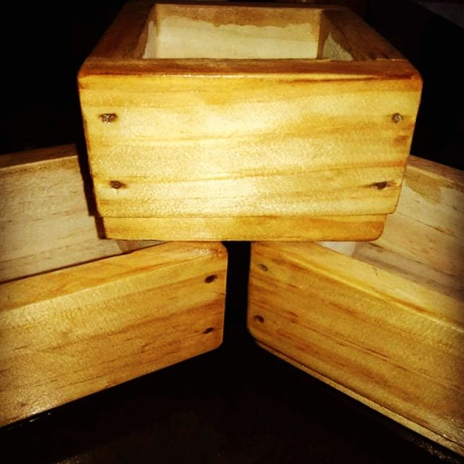 pots plants Lazada PH