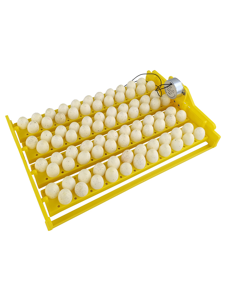 Egg Incubator Automatic 88 Bird Eggs Duck Chicken Eggs Hatching Machine