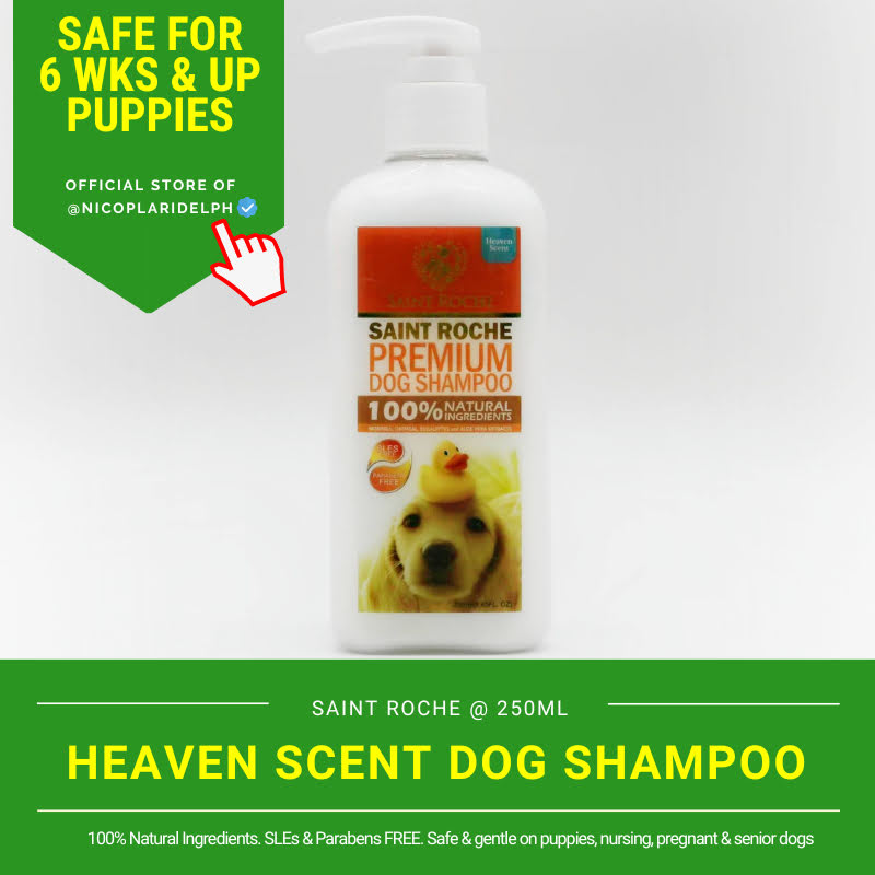 Are Shampoo Scents Bad For Dogs