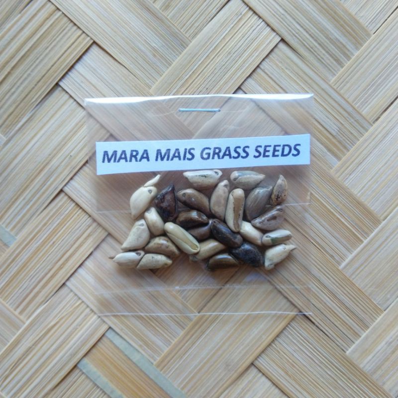 Mara Mais Grass Seeds (50PcsPack) Maramais Lazada PH