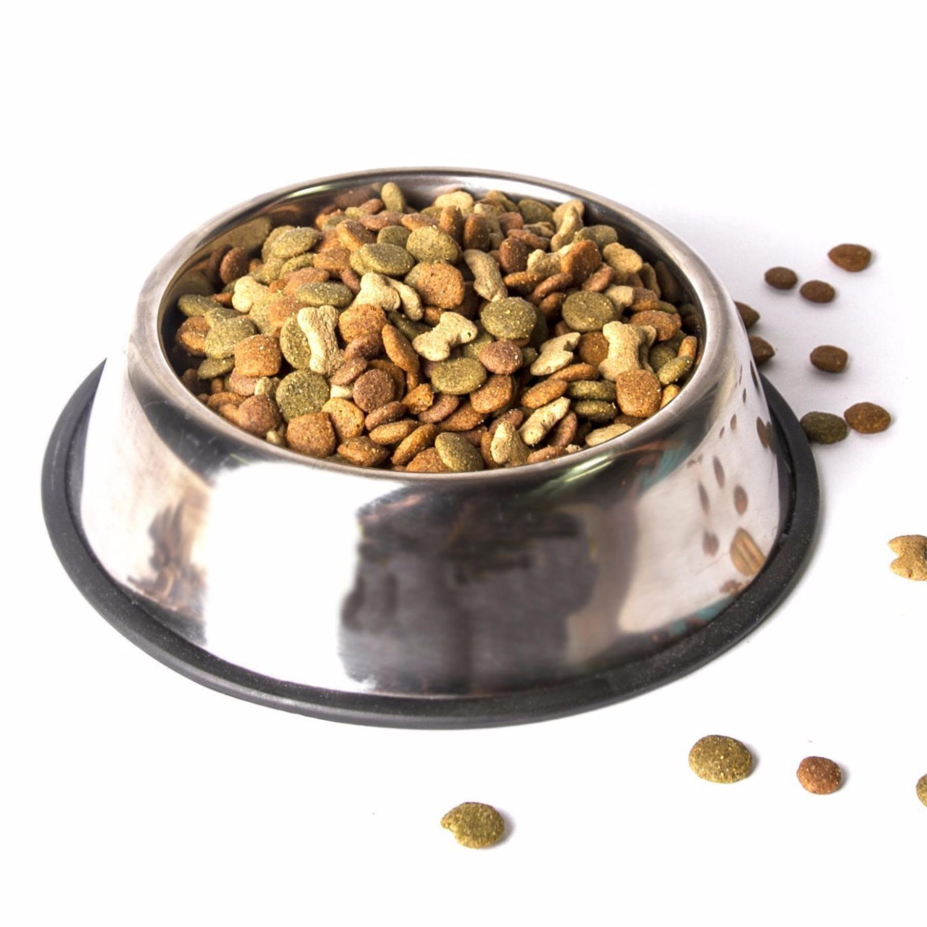 Are Rubber Dog Bowls Safe