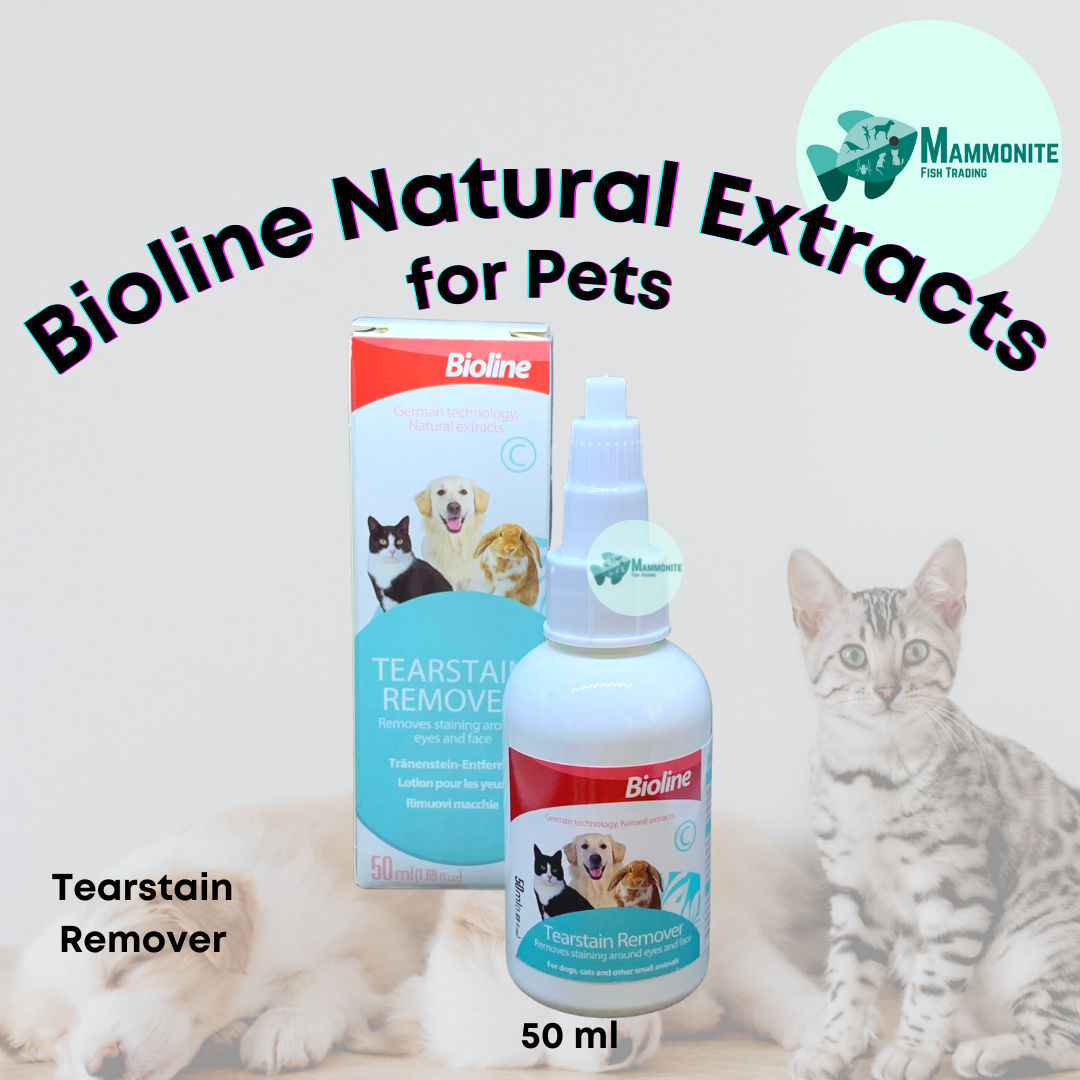 Bioline Ear and Eye Care Tear Stain Remover 50mL Lazada PH