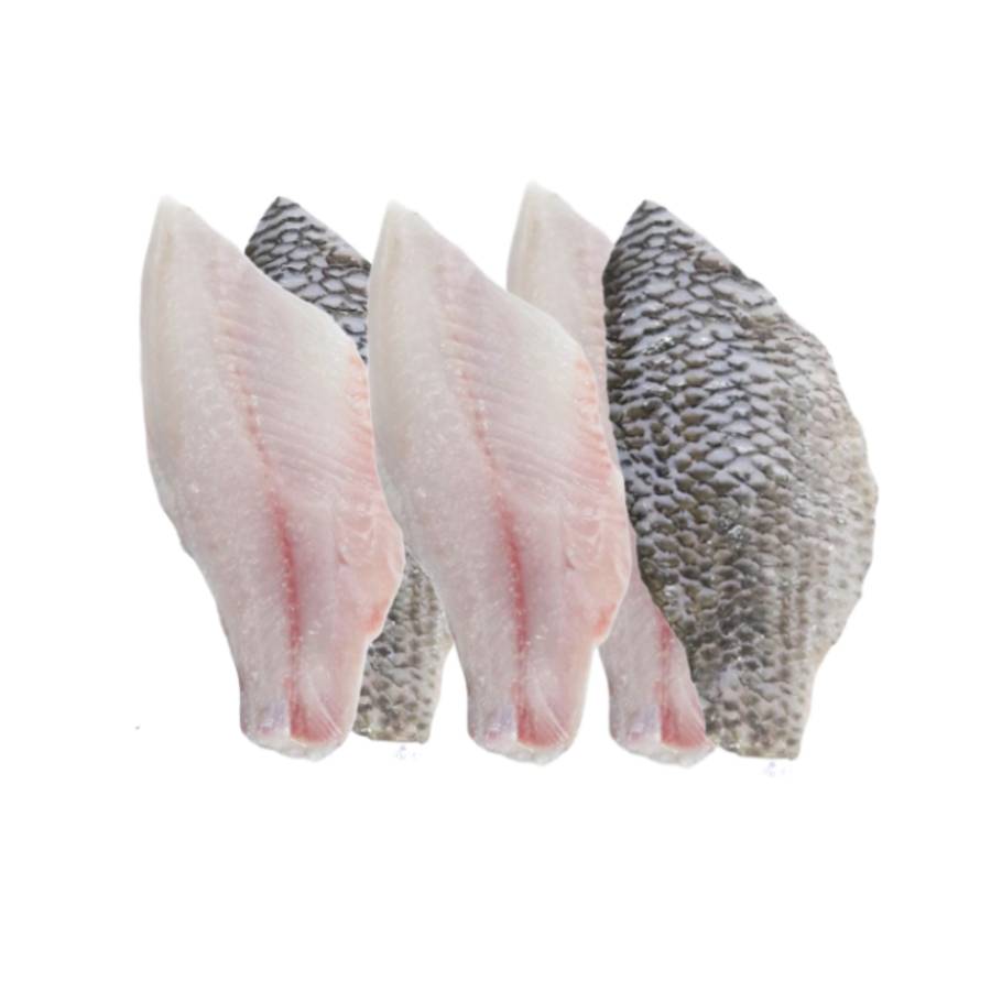 Frozen Tilapia Fillet (450500g) Lazada PH