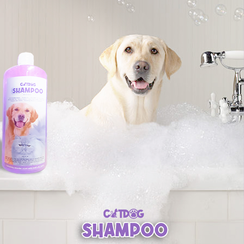 Catdog Shampoo, Dog Shampoo, Cat Shampoo, 2in1 Shampoo & Conditioner