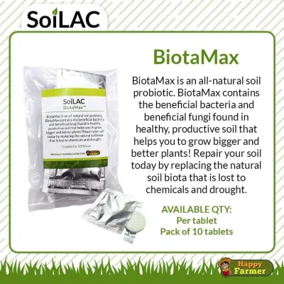 SoiLAC BiotaMax Probiotics Tablet