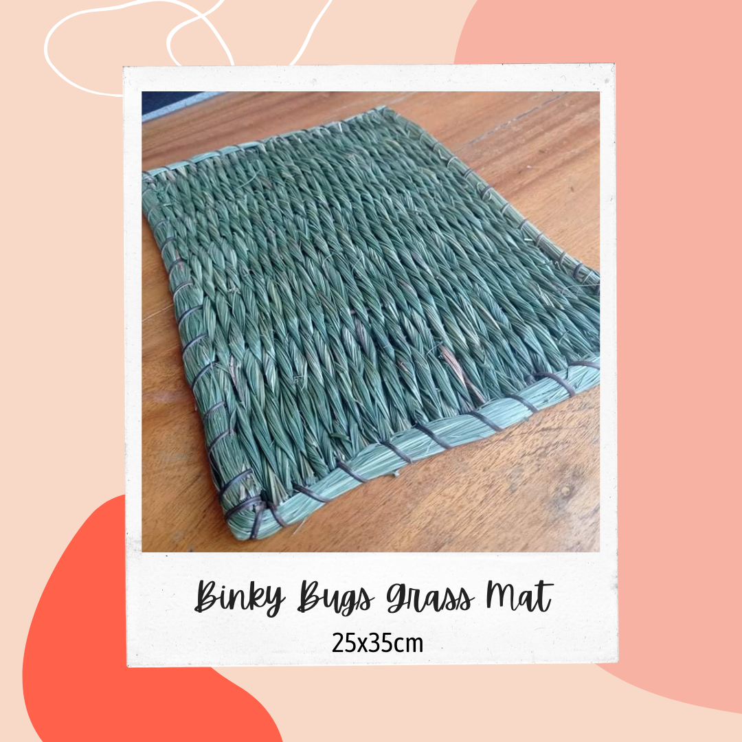 Binky Bugs Woven Grass Mat for Rabbit or Guinea Pig Lazada PH