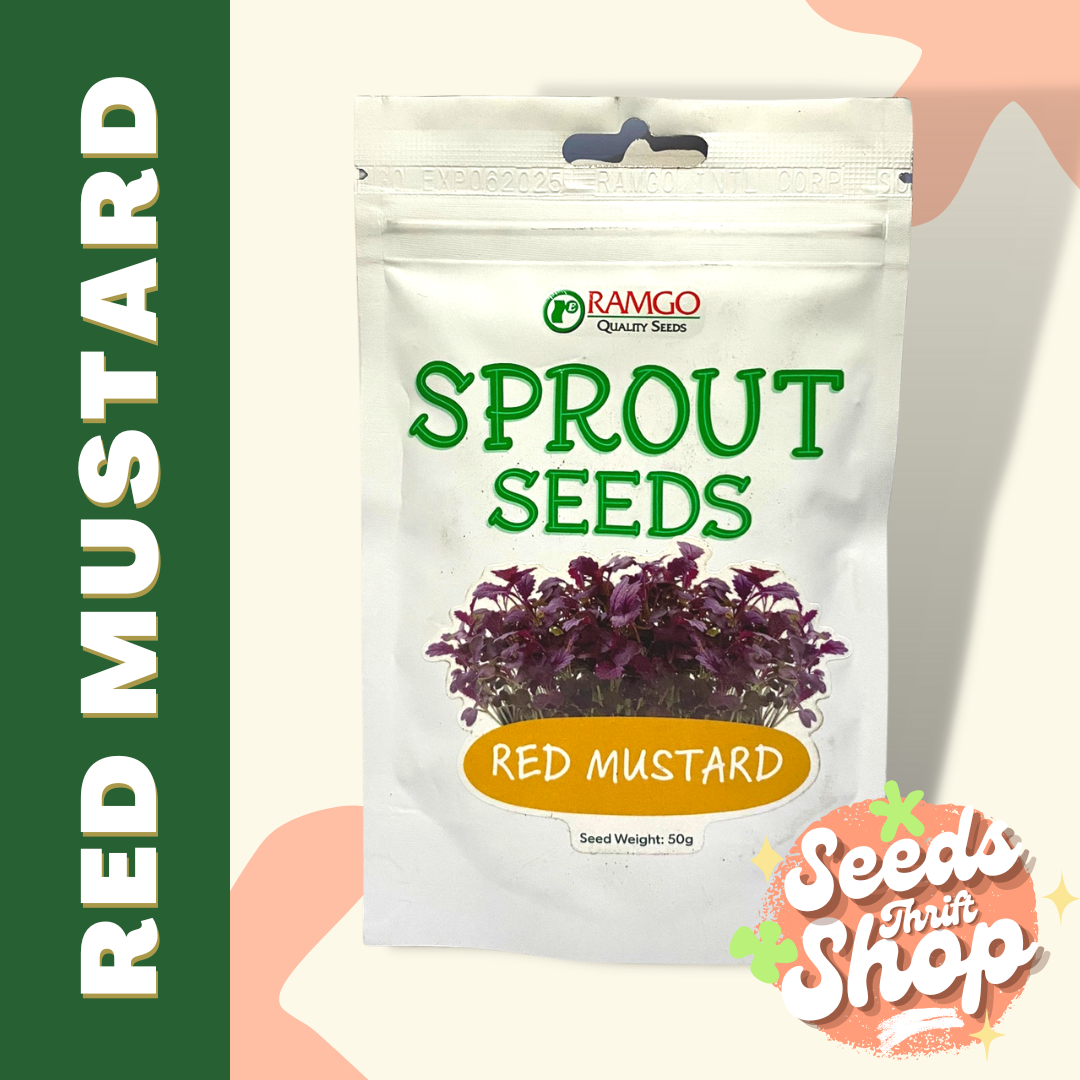 RED MUSTARD SPROUT SEEDSRAMGO 50G Lazada PH