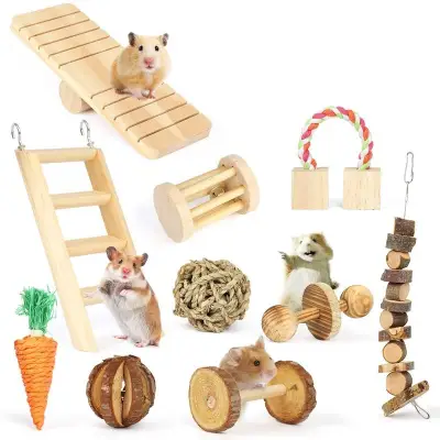 Hamster Chew Toys, Natural Wooden Pine Guinea Pigs Rats Chinchillas Toys Accessories Dumbbells Exercise Ball Roller Teeth Care Molar Toy for Birds Bunny Rabbits Gerbils