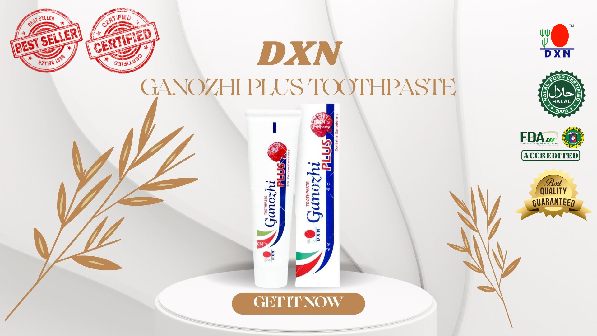 Liel's DXN Ganozhi Plus Toothpaste 150g Lazada PH