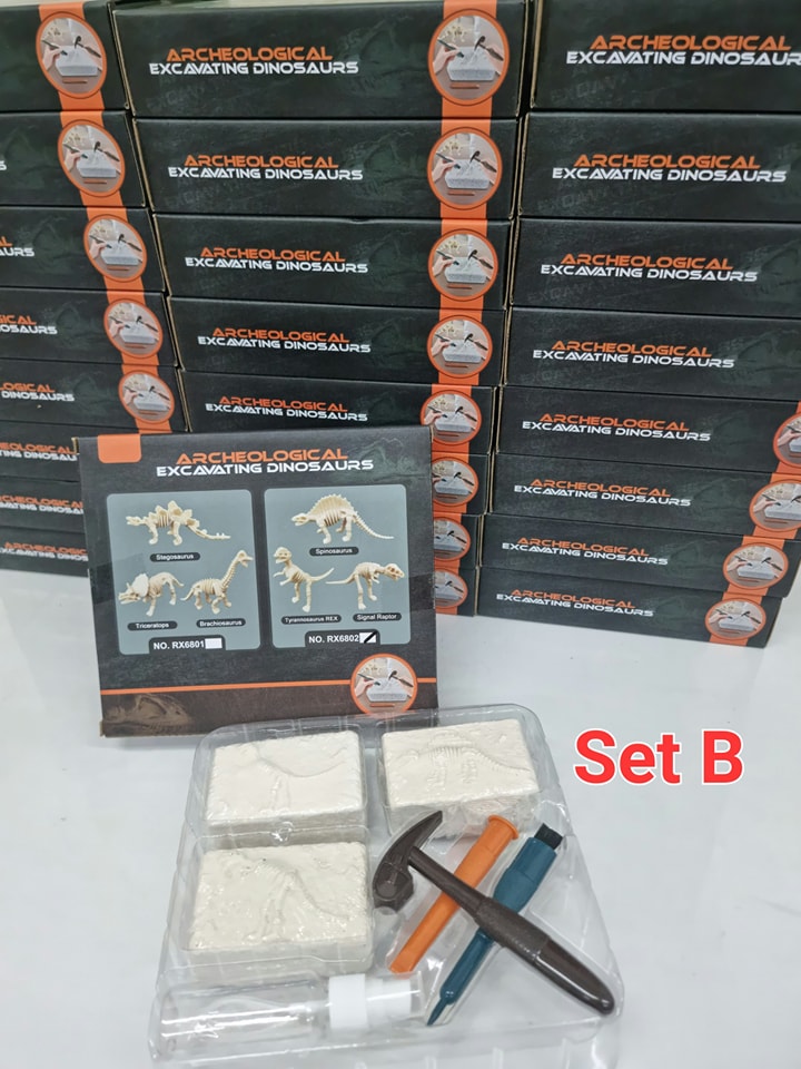 Dinosaur Digging Fossil Toy! 🦖🔨 🦖 Dinosaur skeleton DIG KITS Our dig