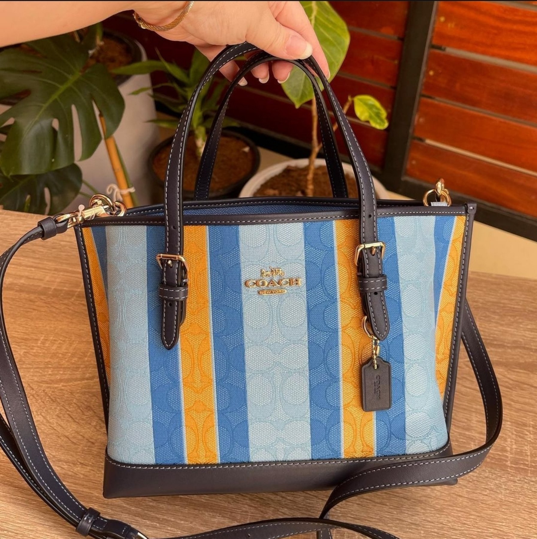 Coach C4086 Mollie Tote 25 in Blue / Yellow Signature Jacquard with Stripes  and Smooth Leather Details with Detachable Strap - Women's Bag | Lazada PH