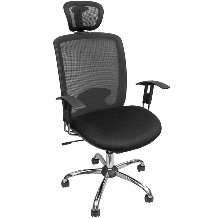 Ergodynamic EHC129 Heavy Duty Mesh Office Chair (Black) review and price