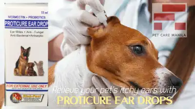 Proticure Ear Drop 15ml for Dog and Cat Ear Mites, Anti-bacterial, Anti-fungal, Antiseptic