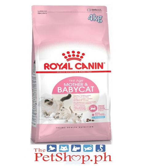 royal canin mother and baby cat wet