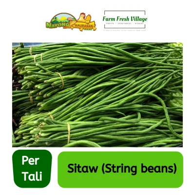 FARM FRESH VILLAGE - Sitaw (String beans) per tali
