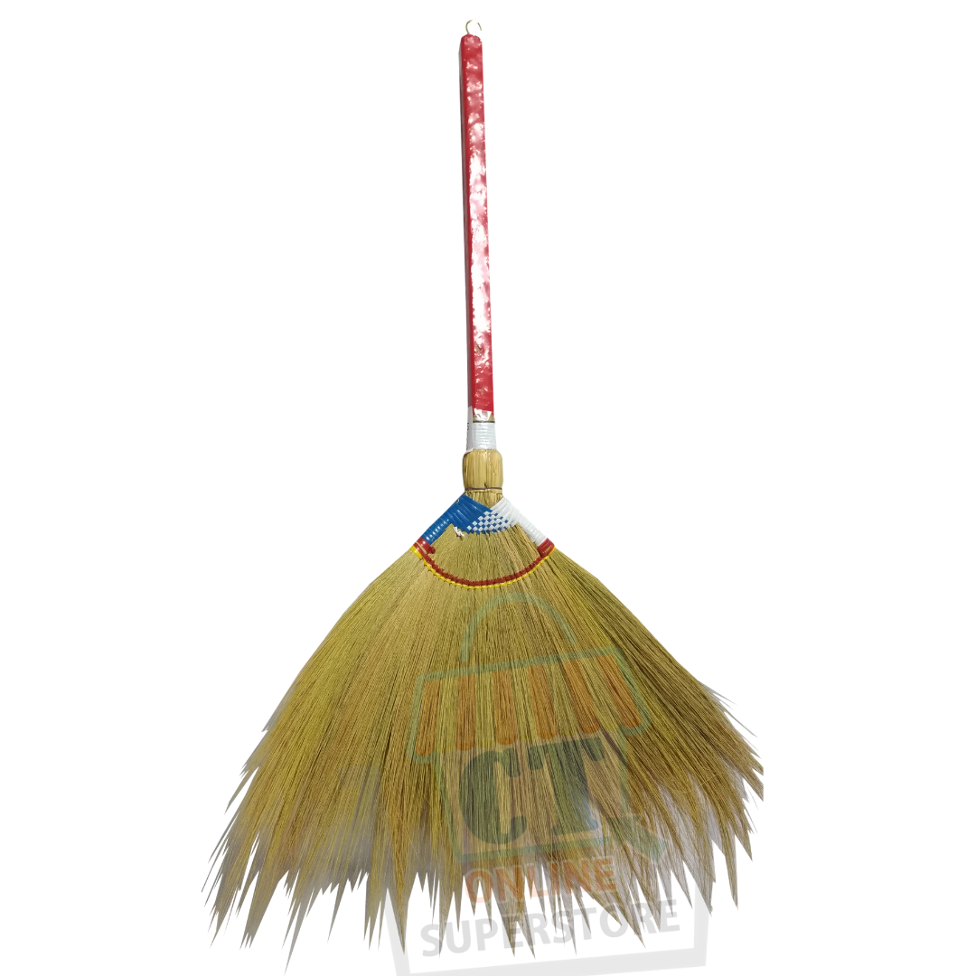 Walis Tambo (Soft Broom) Lazada PH