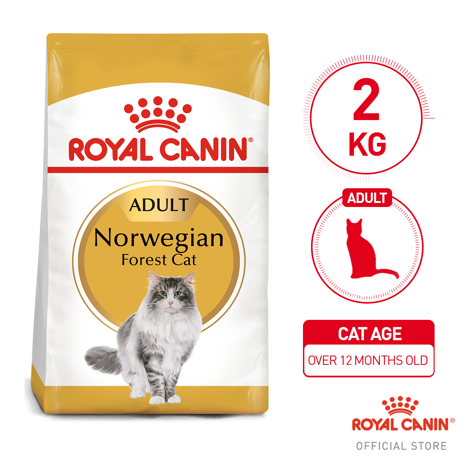 Tirannie globaal Politiek Royal Canin Norwegian Forest Adult Dry Cat Food (2kg) - Feline Breed  Nutrition | Lazada PH
