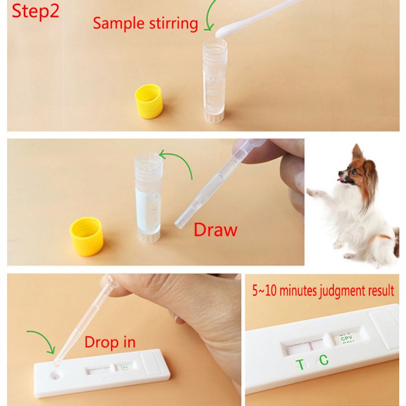 Dog Canine Parvo and Distemper Test kit ON HAND Lazada PH
