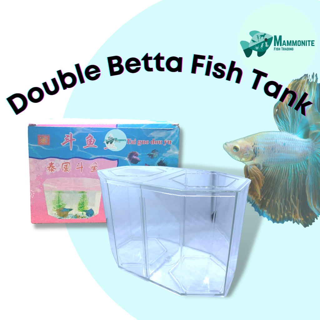 Aquarium Double Betta Fish Tank Acrylic with Lid Cover Lazada PH