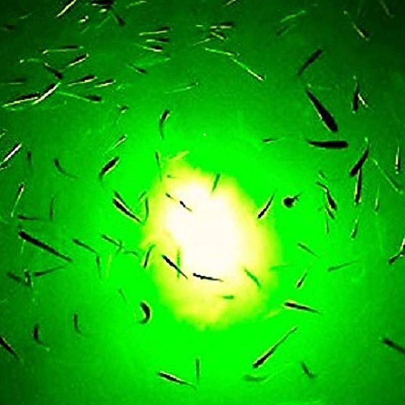 12V-24V fishing light green 108 pieces LED underwater fishing light lure  fish light attract shrimp squid krill fishing accessories