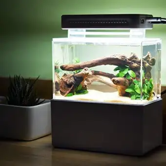 aquarium mini lazada