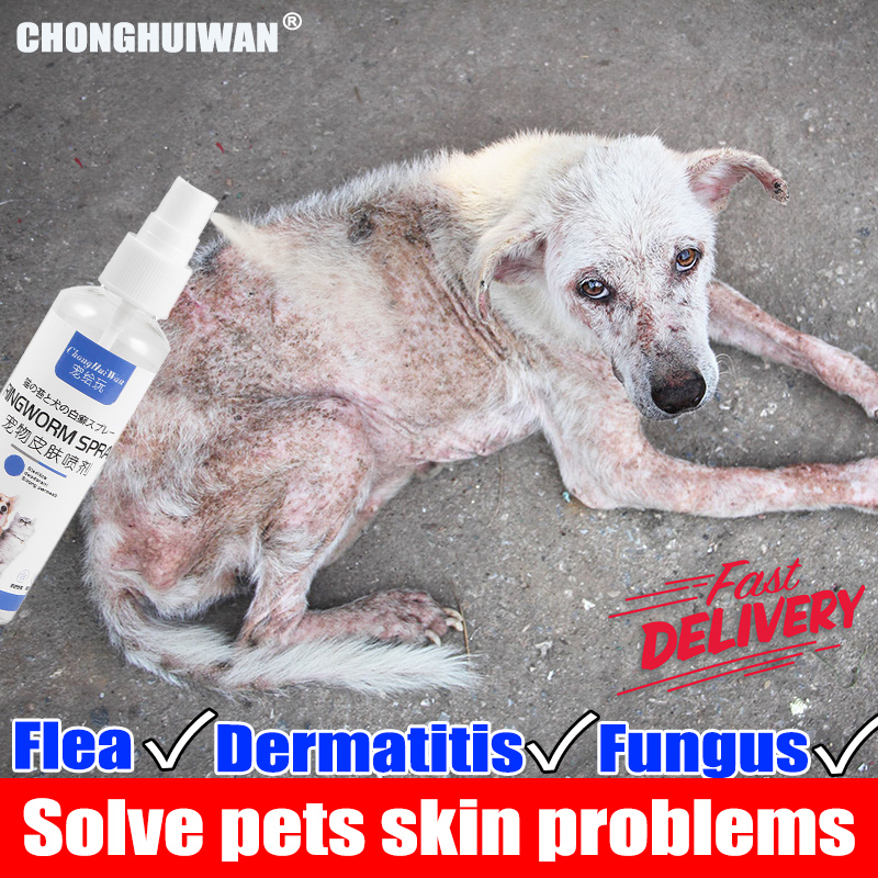 🐱Pet skin treatment spray 🐶 Pet antibacterial spray tick and flea spray