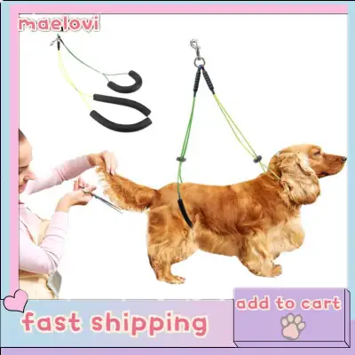 【！！！】Adjustable Pet Grooming Leash For Pet Grooming Table Pet Grooming Loop【dog bath brush】【blower for dog】