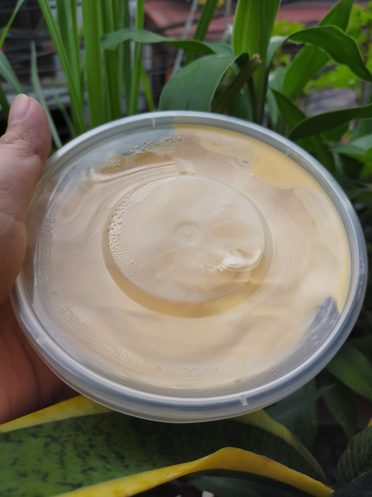 Cheese Sauce for Korean Samgyupsal Repack 200g Lazada PH