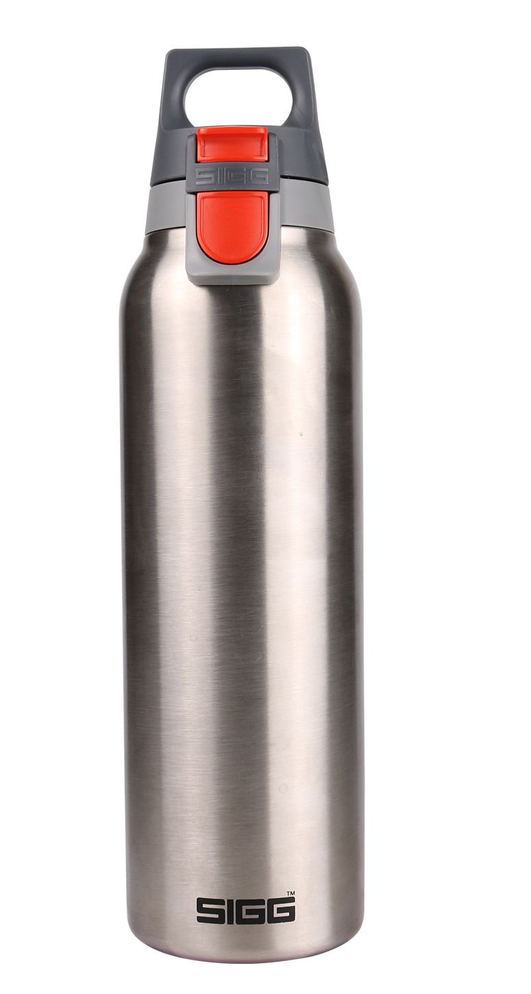 SIGG Thermo Flask Hot & Cold ONE Brushed 0.5l-17oz buy online